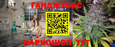 гидра Нальчик