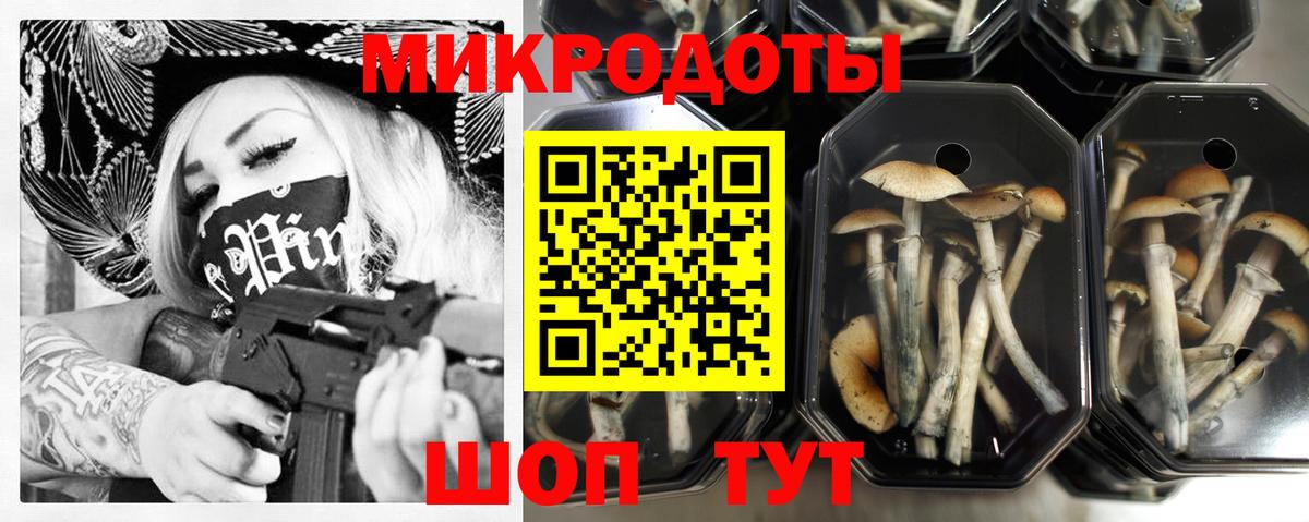 Псилоцибиновые грибы прущие грибы  Вход с VPN  Березники 